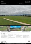 Page 234